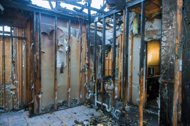 Professional Emergency Fire Cleanup technician working in Amboy, WA